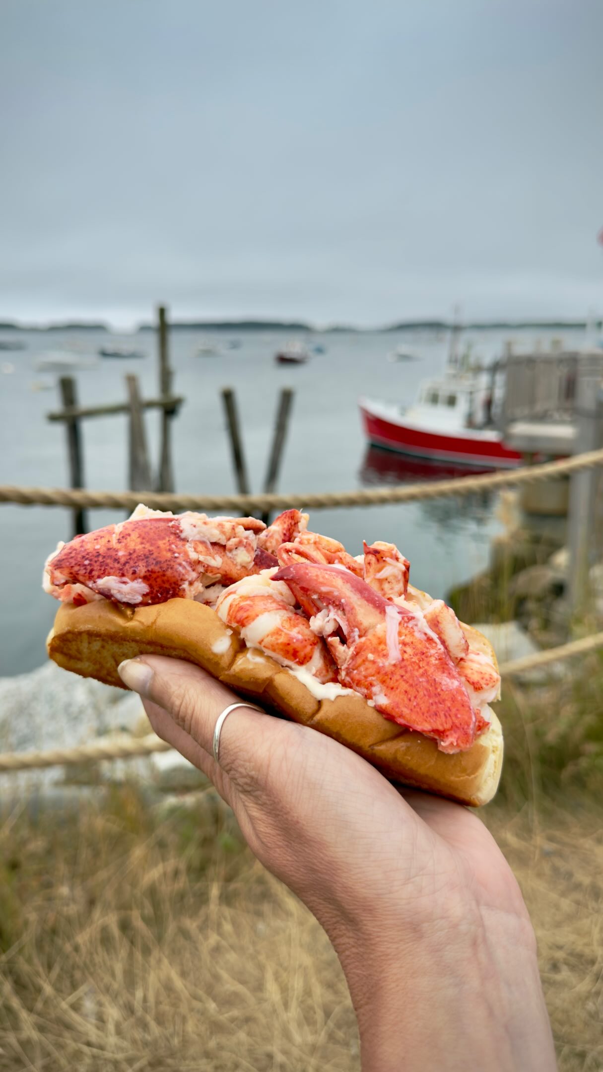 Maine's Top Lobster Shack On Spruce Head Island