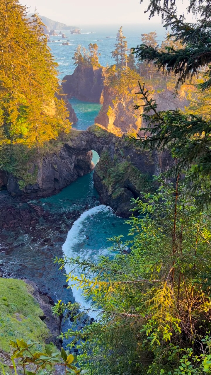 Samuel H. Boardman State Scenic Corridor