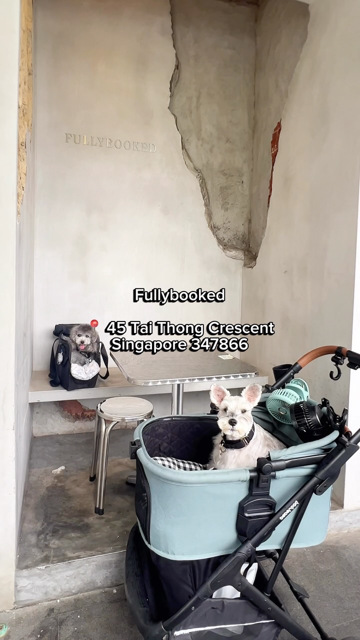 North-East Singapore's Pet-Friendly Dining Destinations