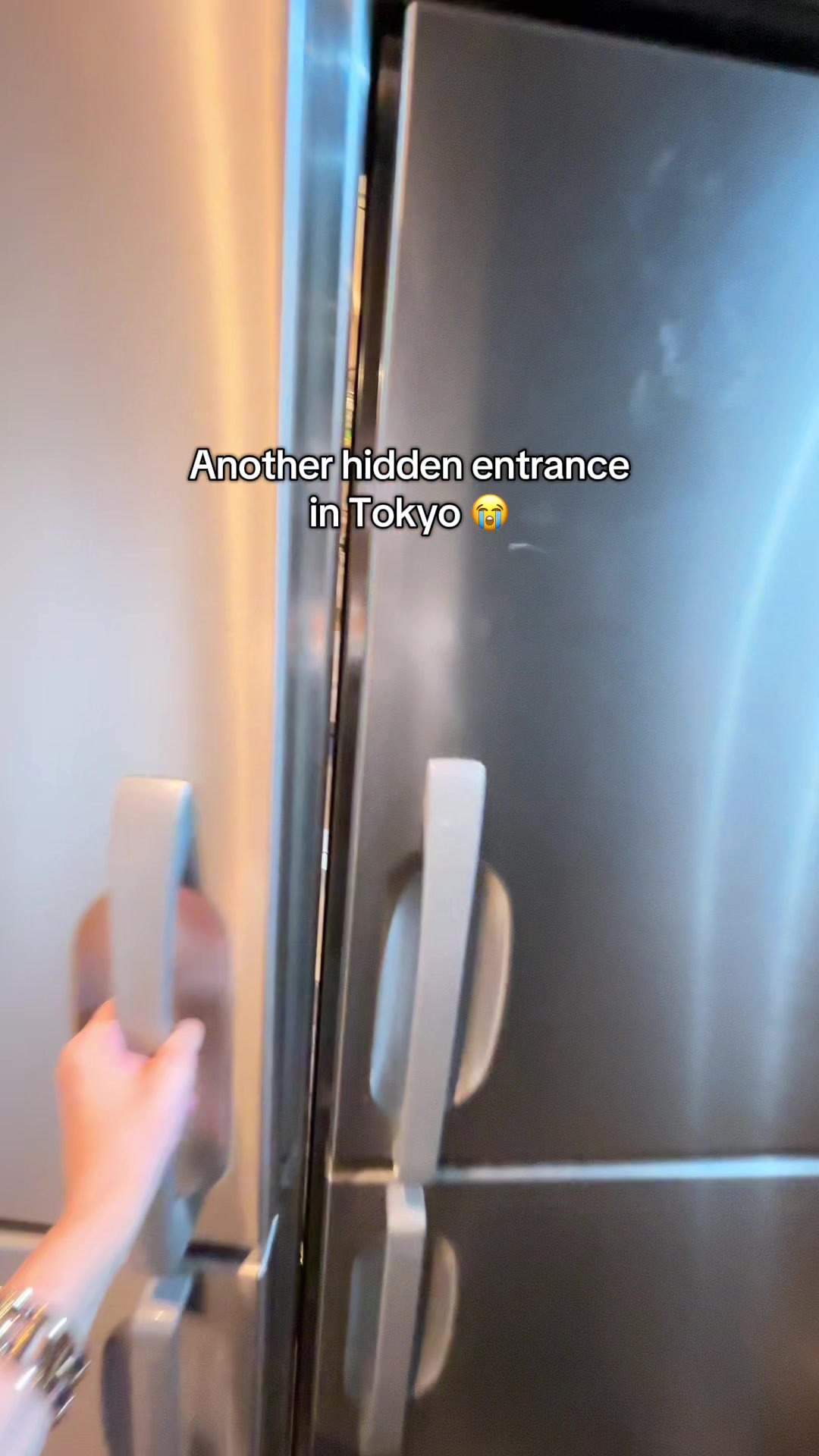 Tokyo's Hidden Food Entrance With Fridge