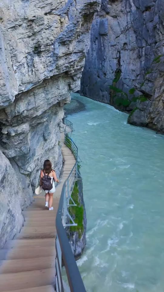 Aare Gorge and Reichenbach Falls Combo