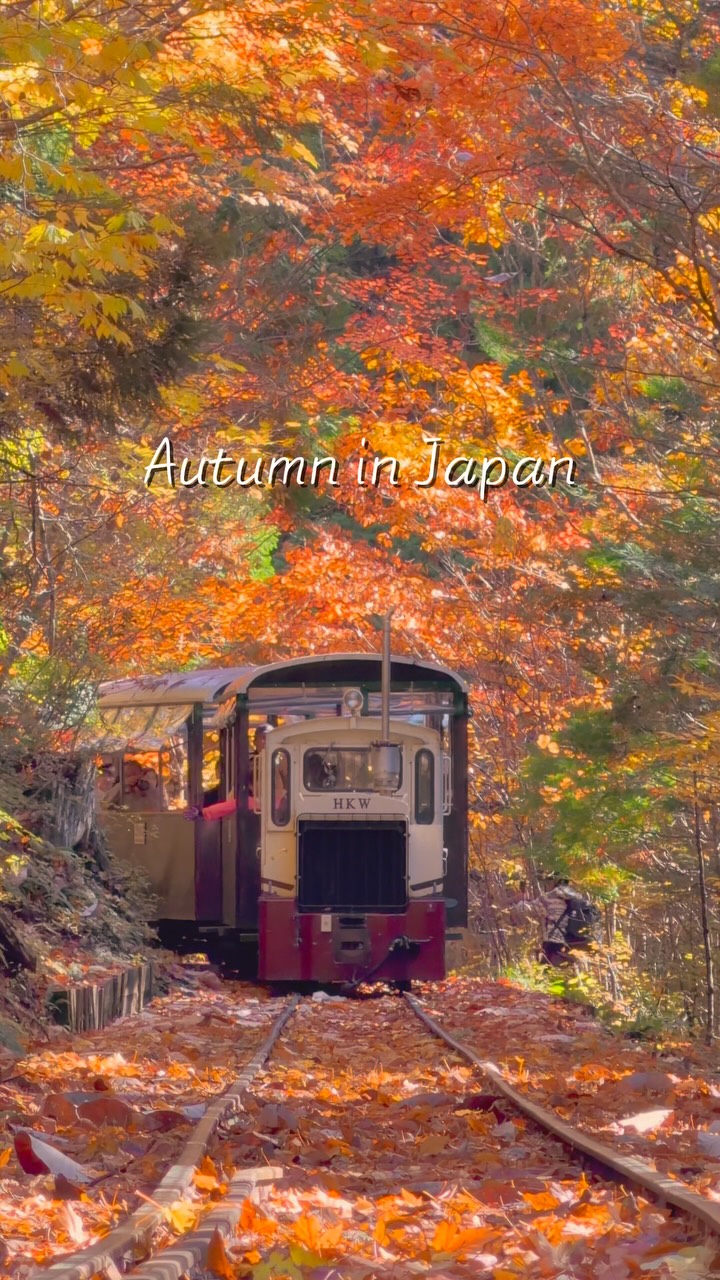 Twenty-Five Japanese Autumn Scenery Destinations