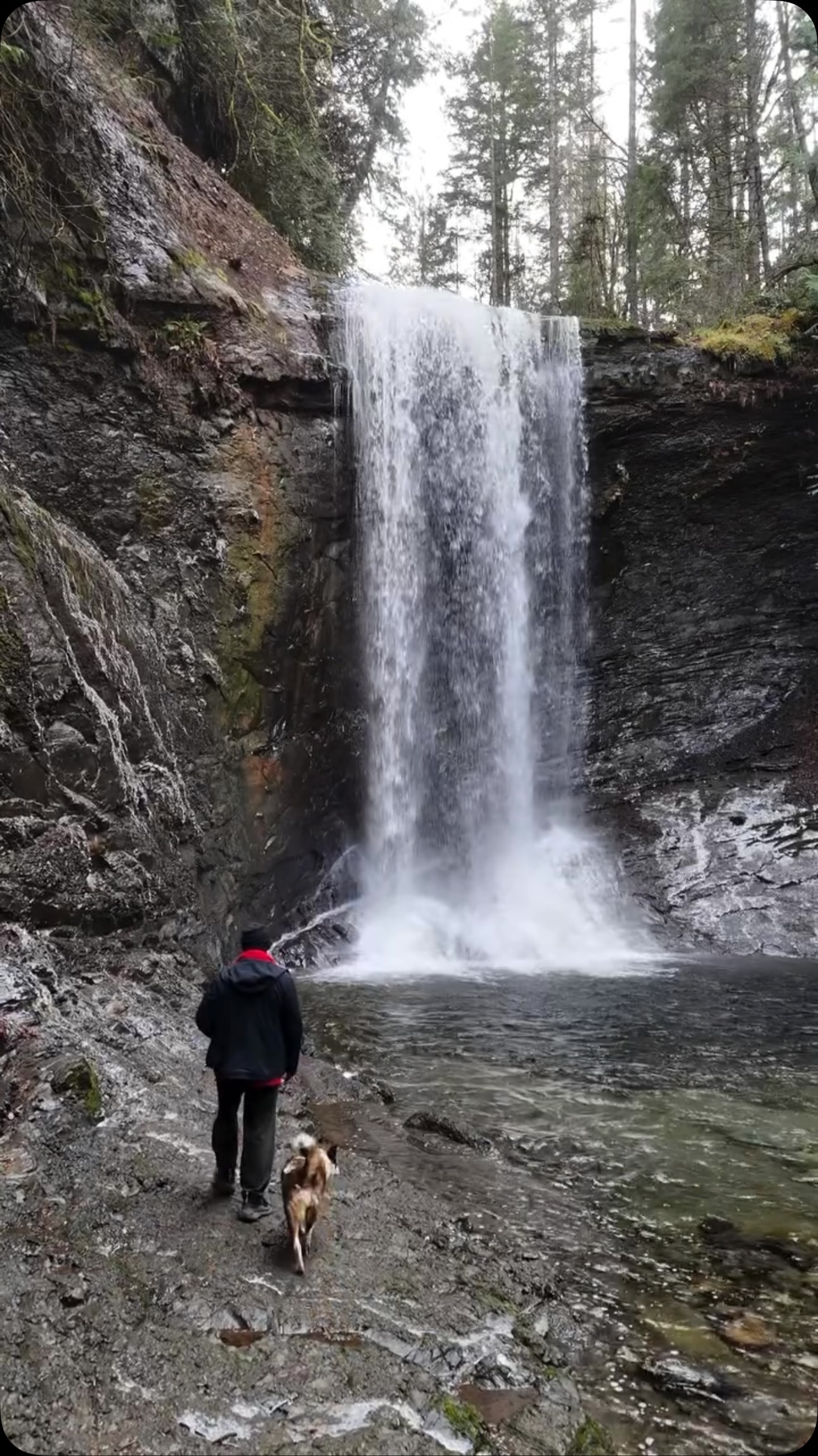 Waterfalls and Fossil Sites of Vancouver Island