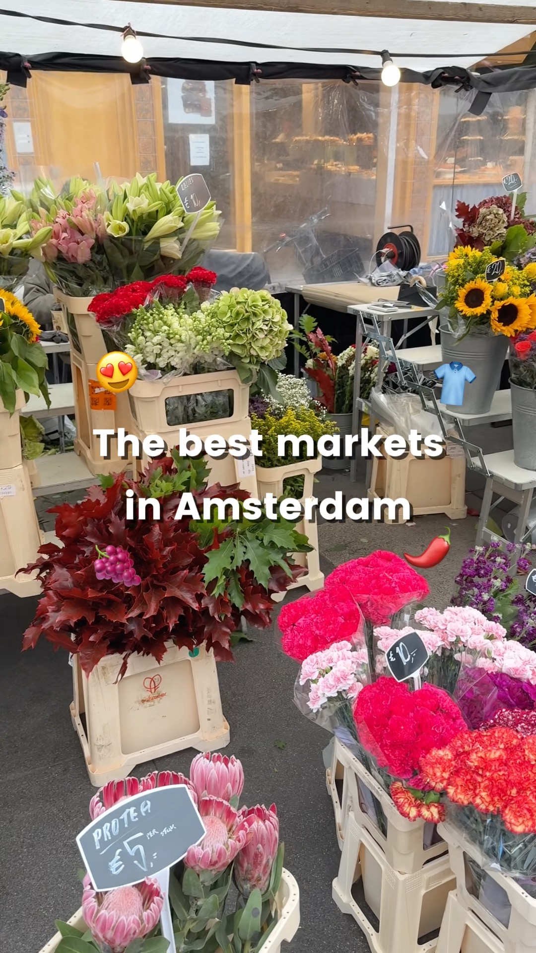 Four Favorite Dutch Markets and Brewpub