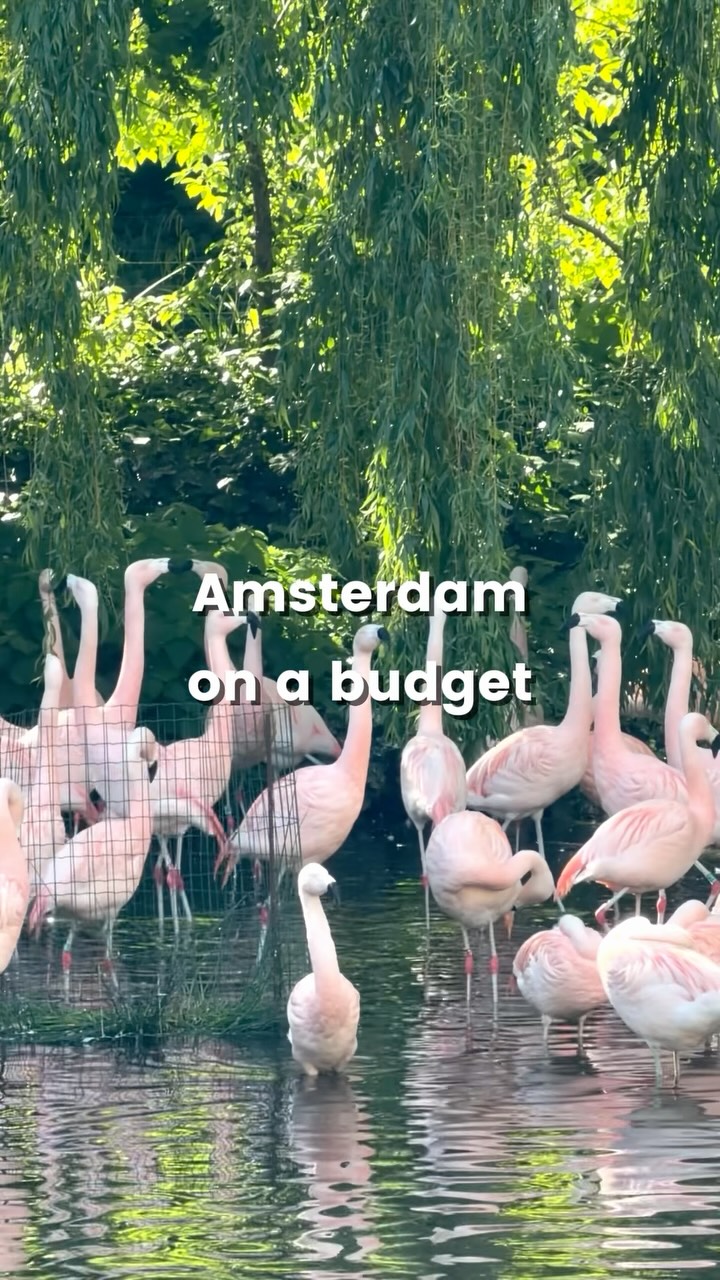 Free and Affordable Amsterdam Attractions