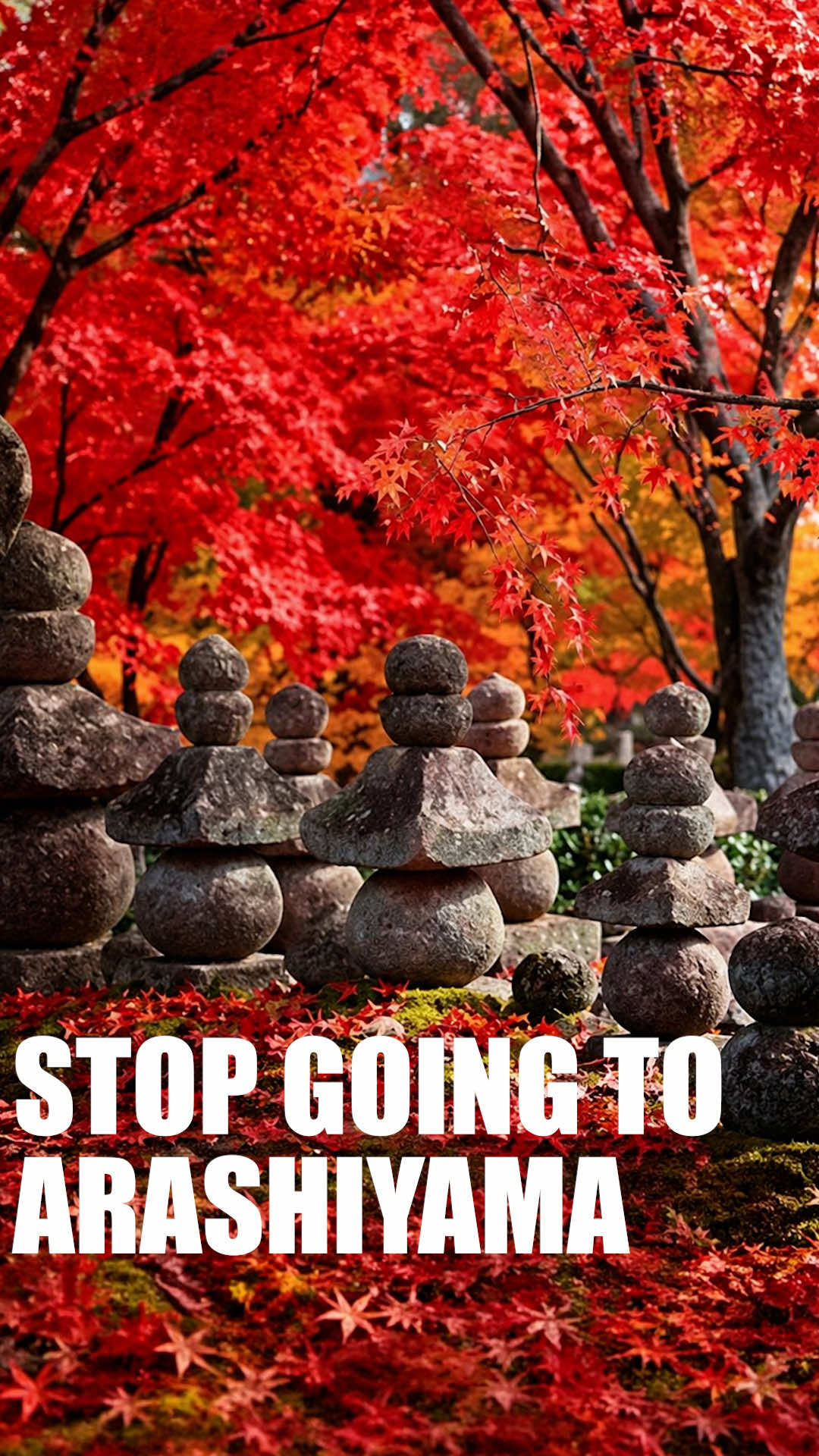 Kyoto's Hidden Gems and Authentic Experiences