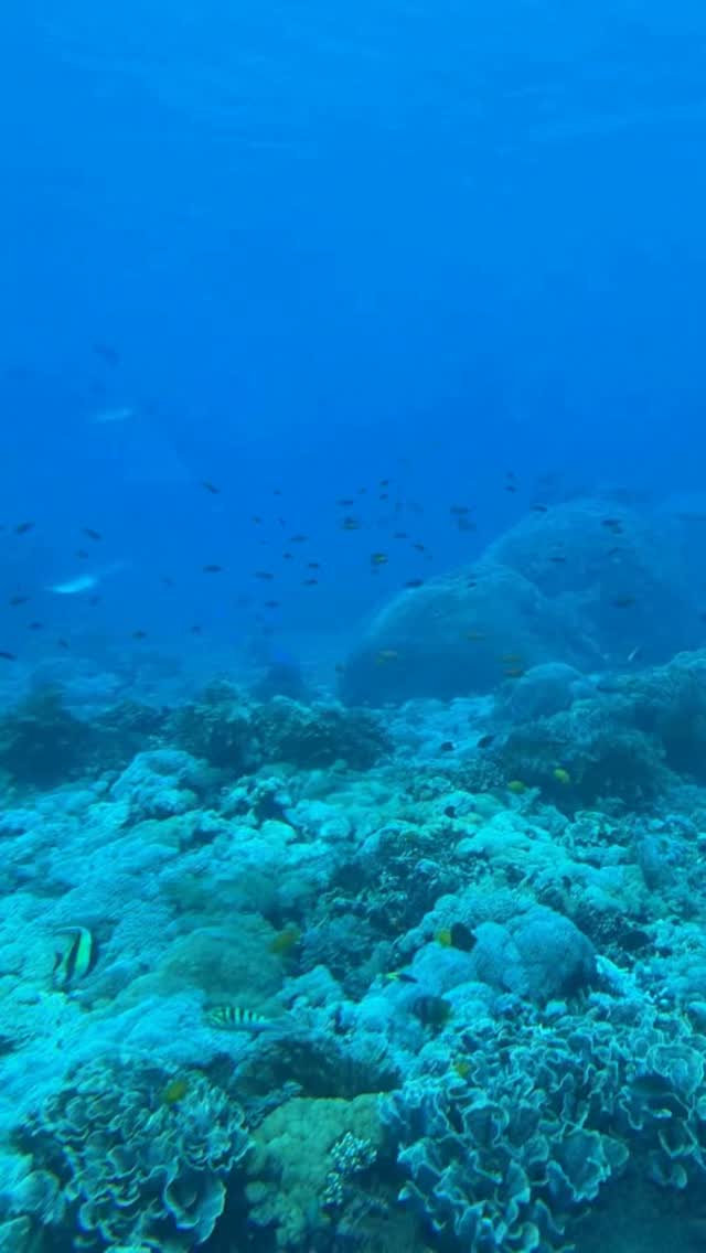 Nusa Penida Submarine Tour At Caspla Beach Club
