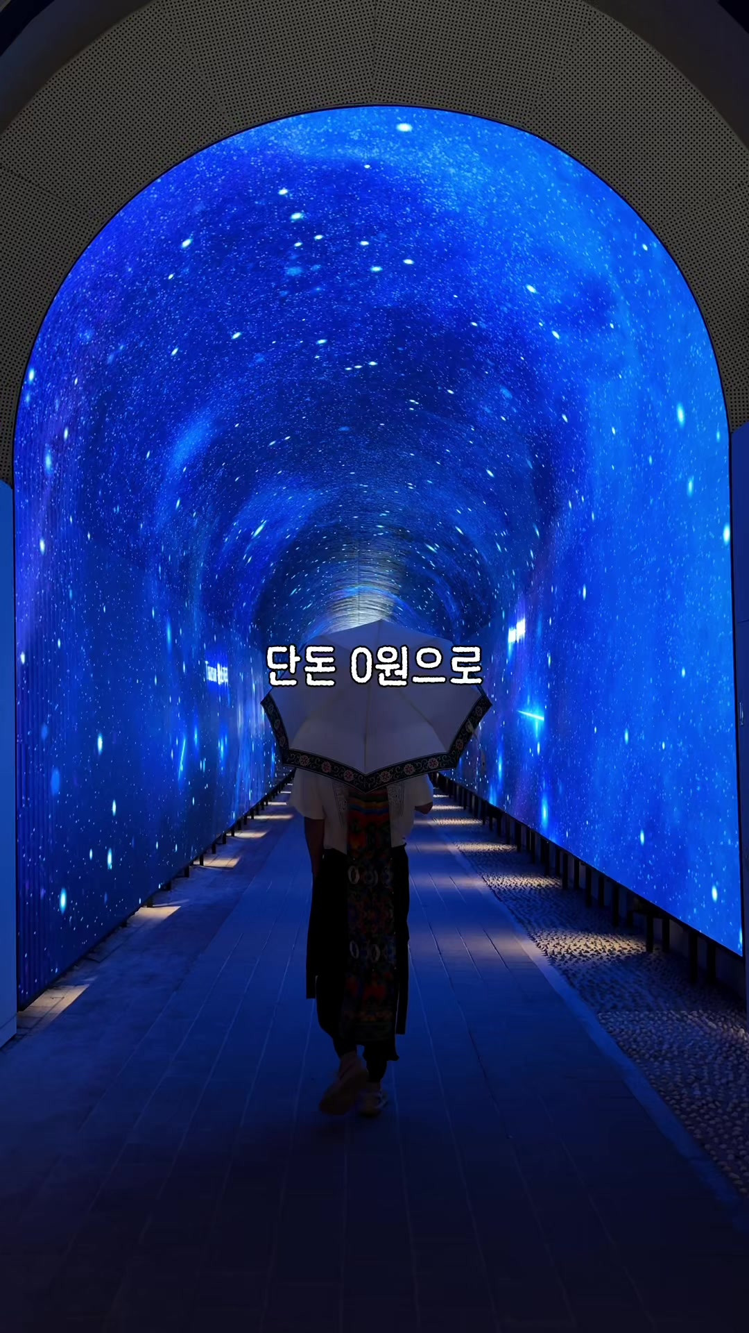 Free Tunnel Park Offers Immersive Media Art