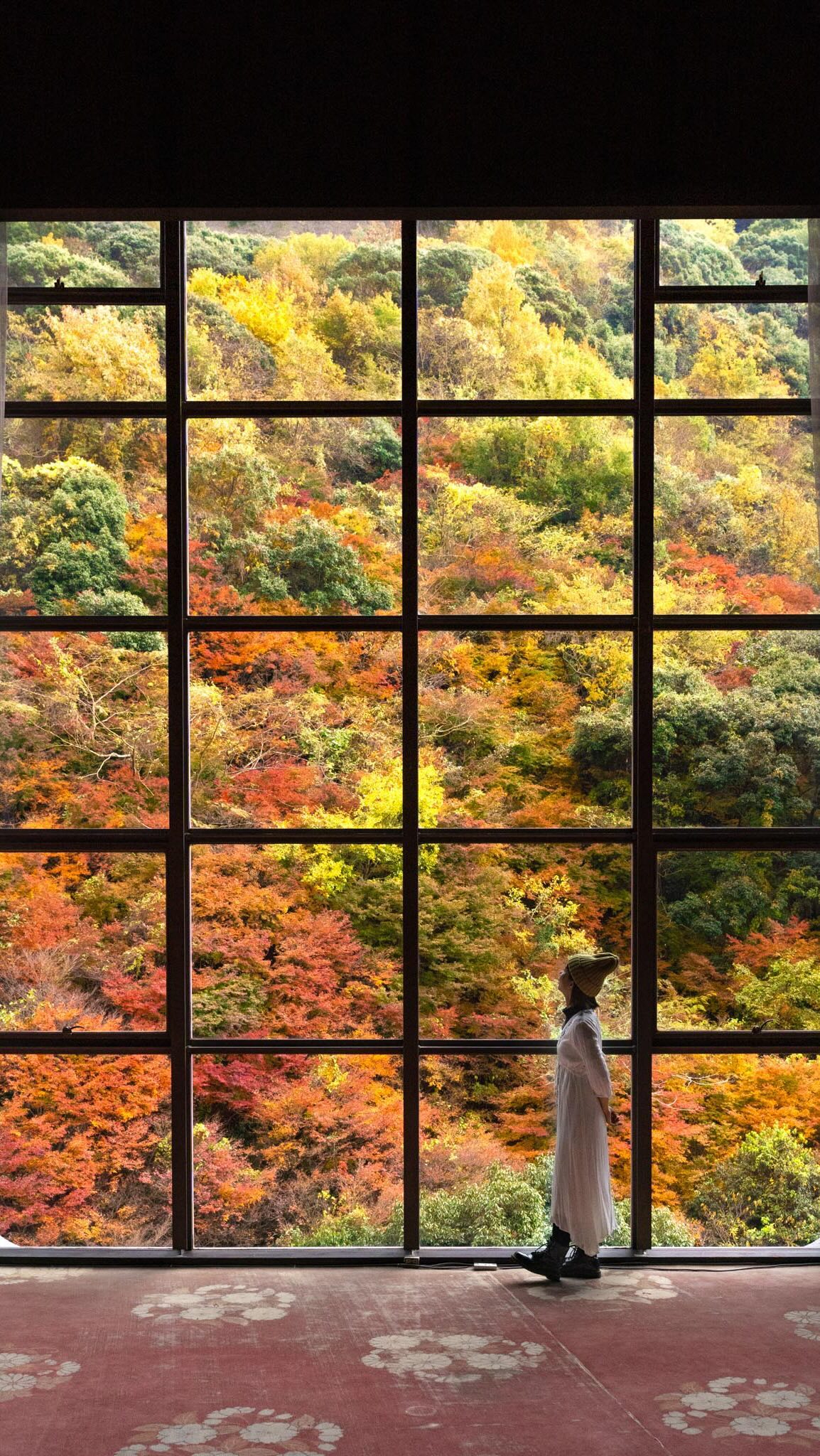 Autumn Hot Springs View At Okudogo Ichiyu No Mori