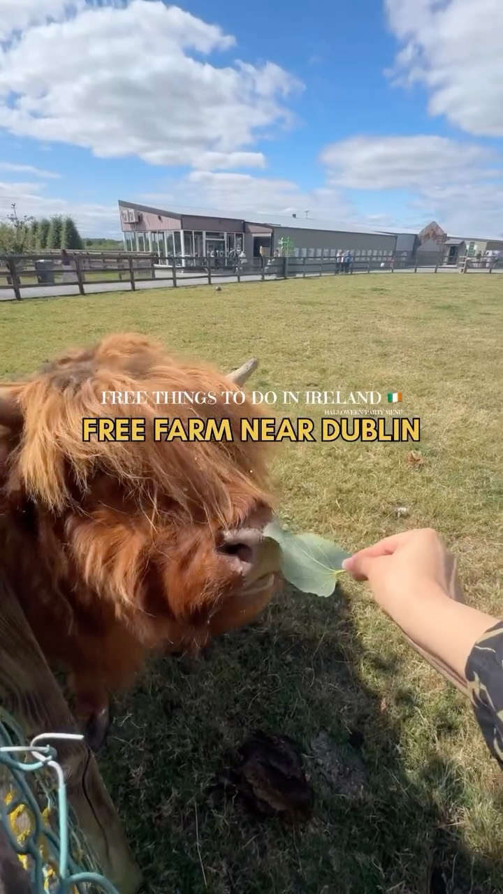 Free Farm Near Dublin Offers Animals and Activities