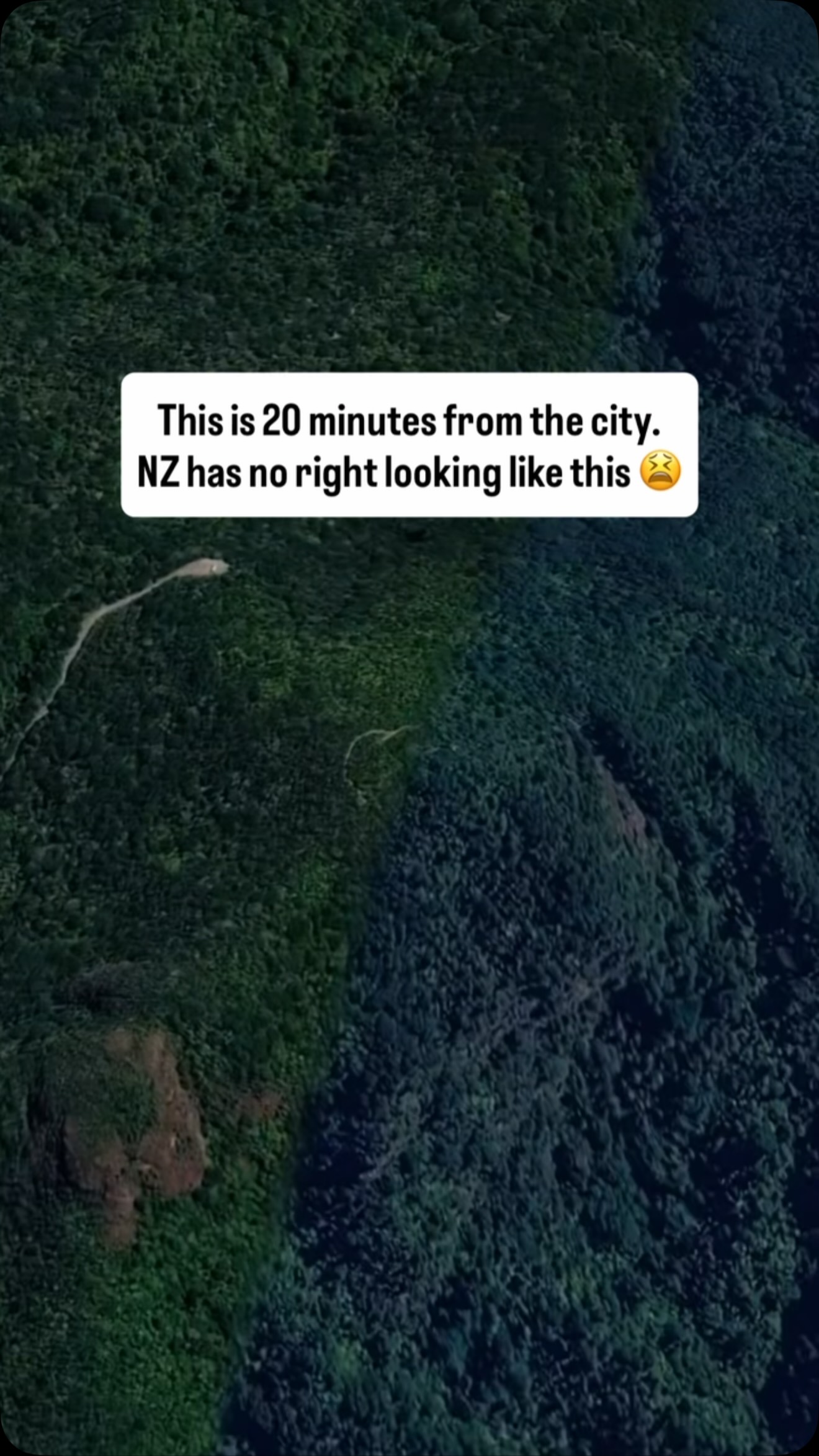 Auckland's Waitakere Ranges Views