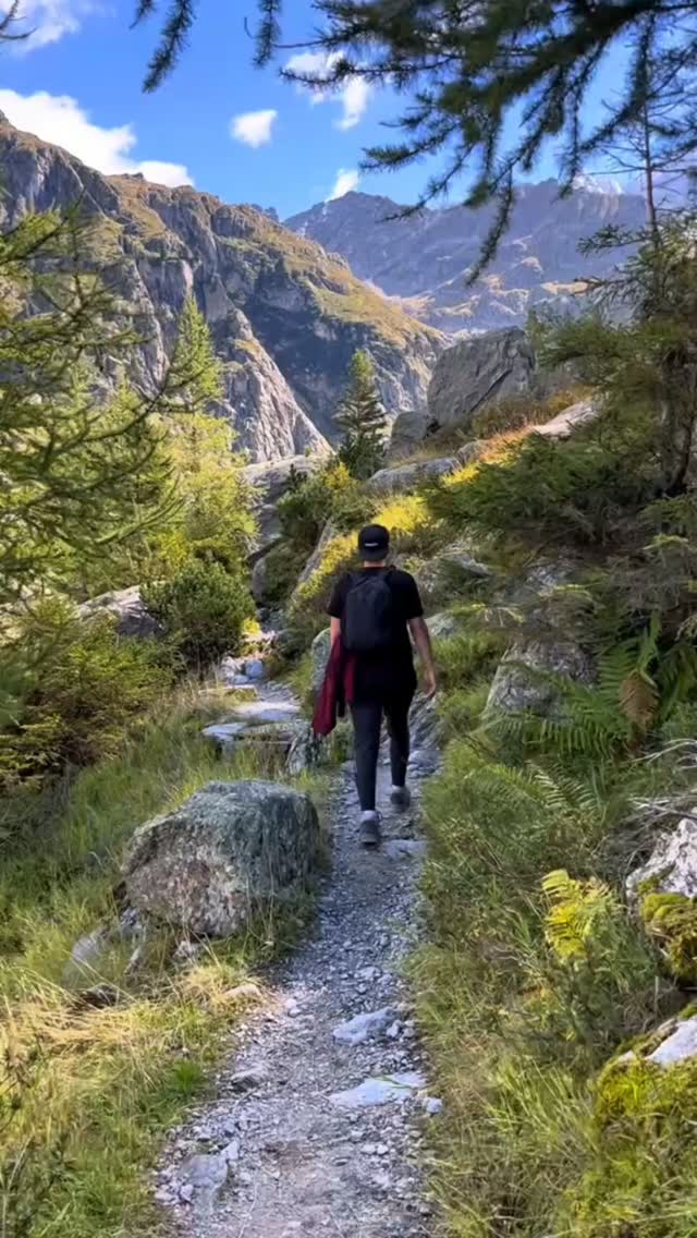 Schnapps Hikes Through Germany's Black Forest