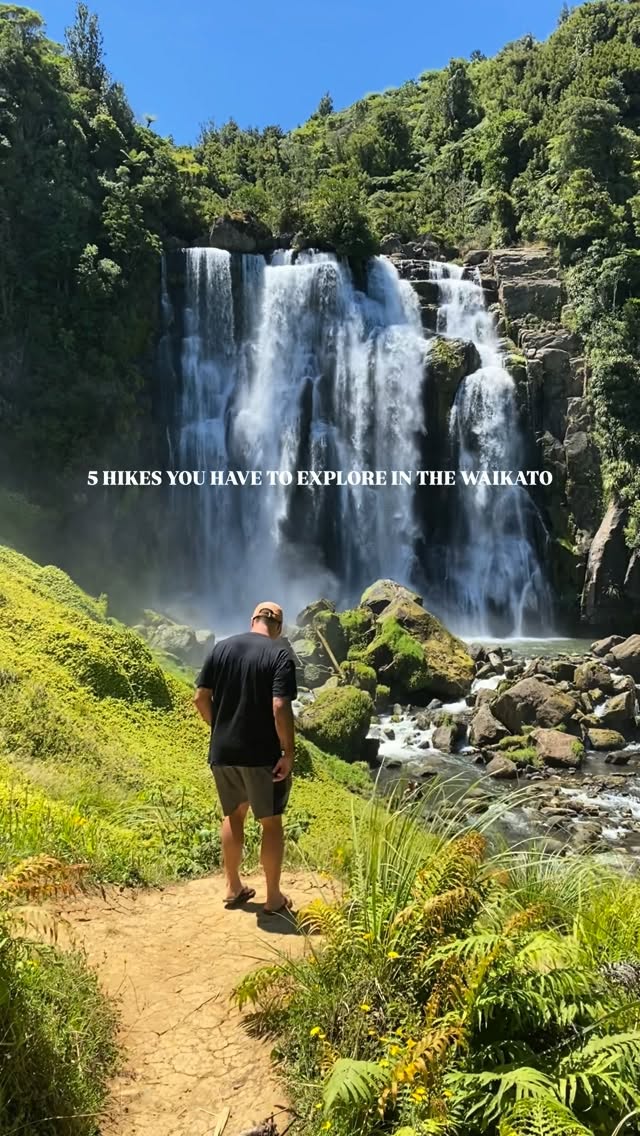 Waikato Region's Top Natural Wonders And Hikes