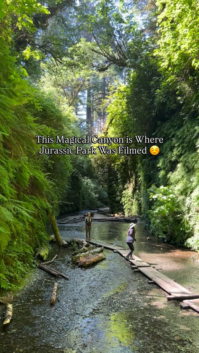 **Fern Canyon and Northern California's Redwood Coast**