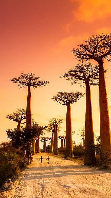 Madagascar's Natural Wonders and Islands
