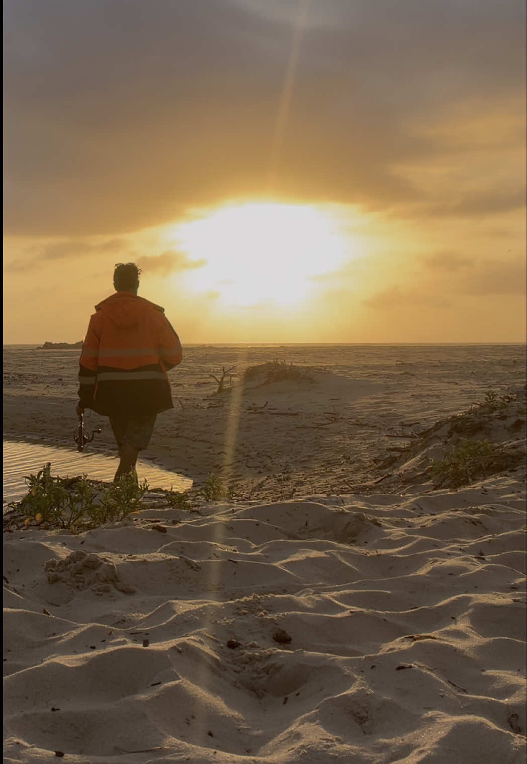 Coastal NSW Camping and Beach Destinations