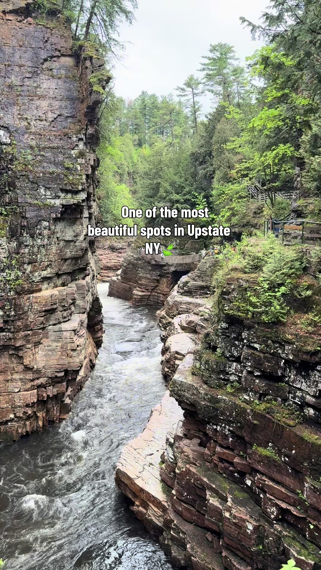 Ausable Chasm's Natural Grandeur
