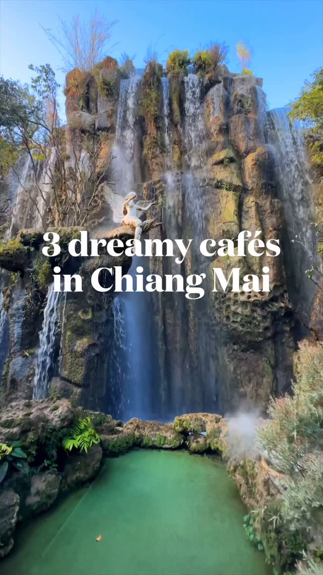 Charming Cafes in Chiang Mai and Chiang Rai