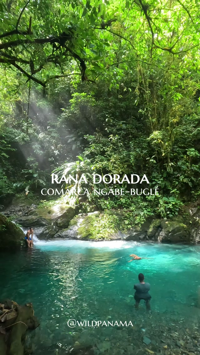 Cascada El Tapir Golden Frog Adventure