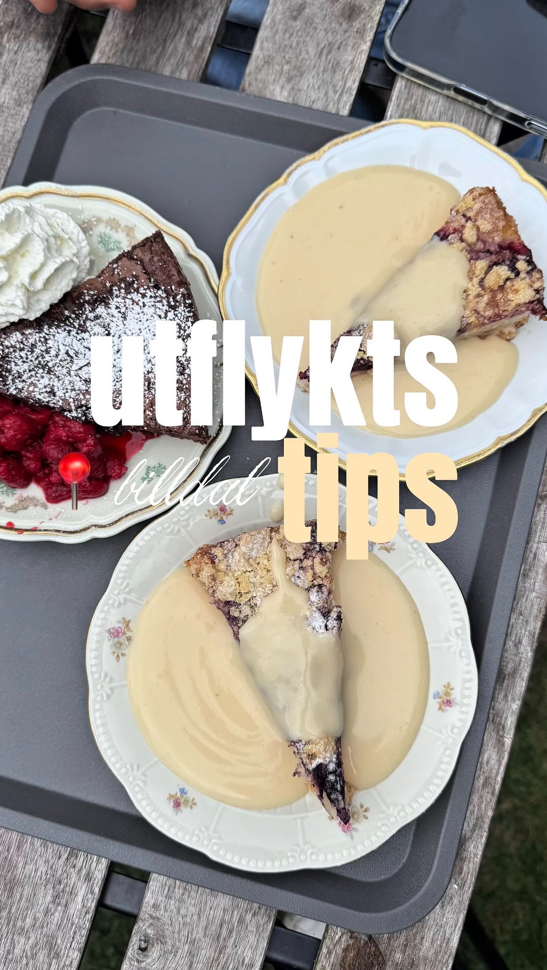 Cozy Fika Spots Welcome Dogs