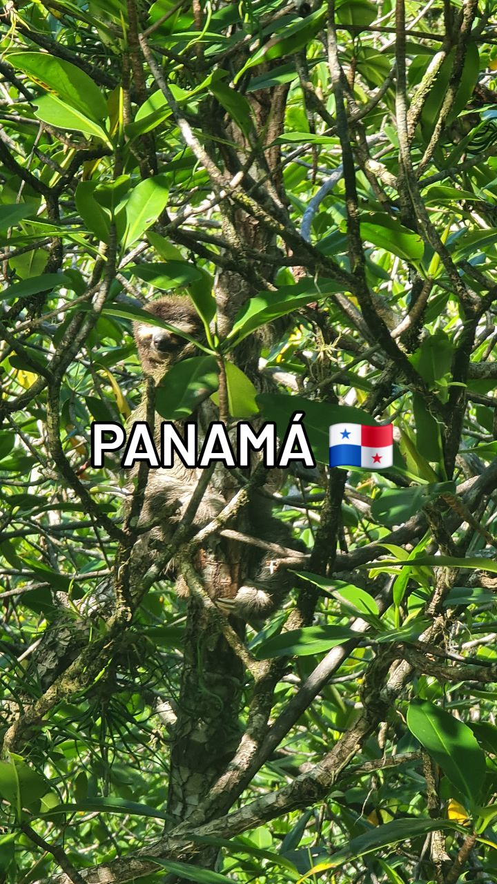 Panama: A Country Offering Adventures