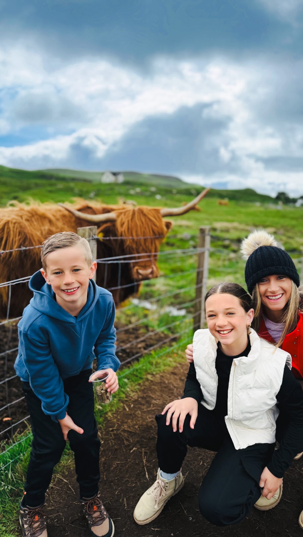 Skye Coffee Stop With Highland Cows