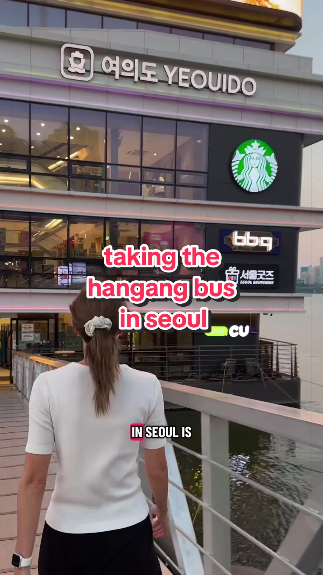 Hangang Bus Offers Scenic Nighttime River Views