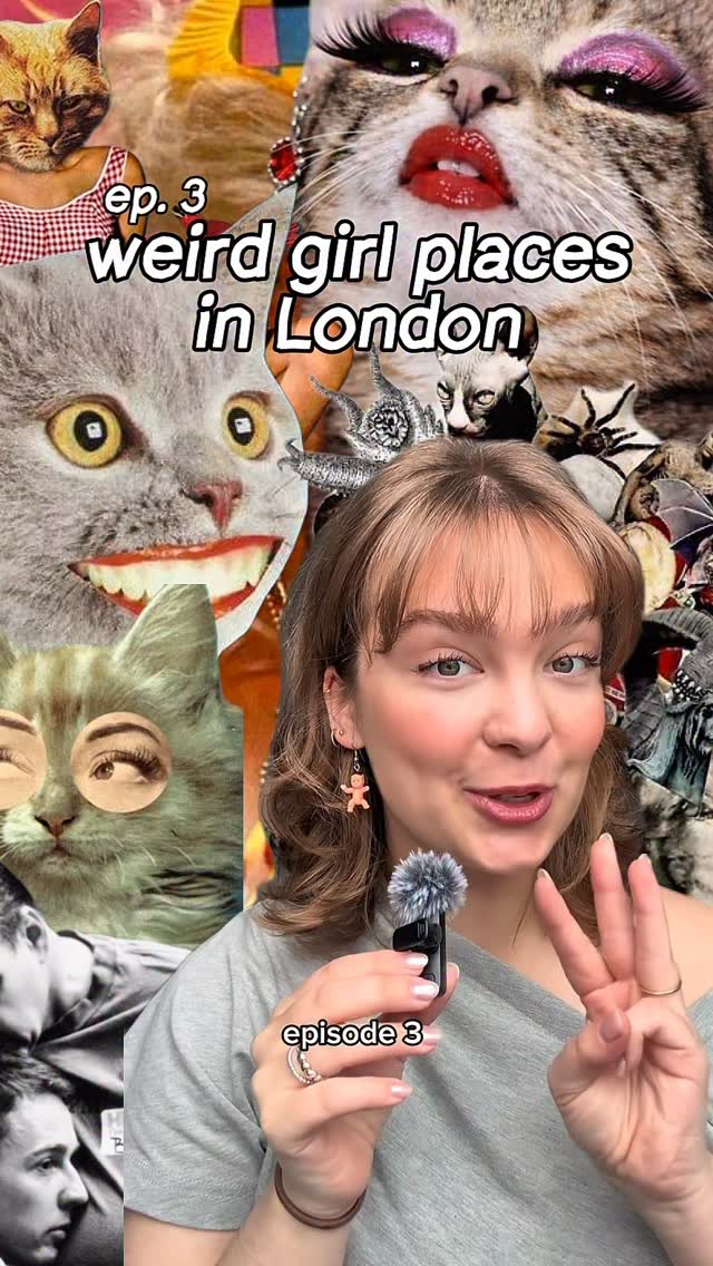 Secret Cat-Themed Bar Accessed Via Restaurant