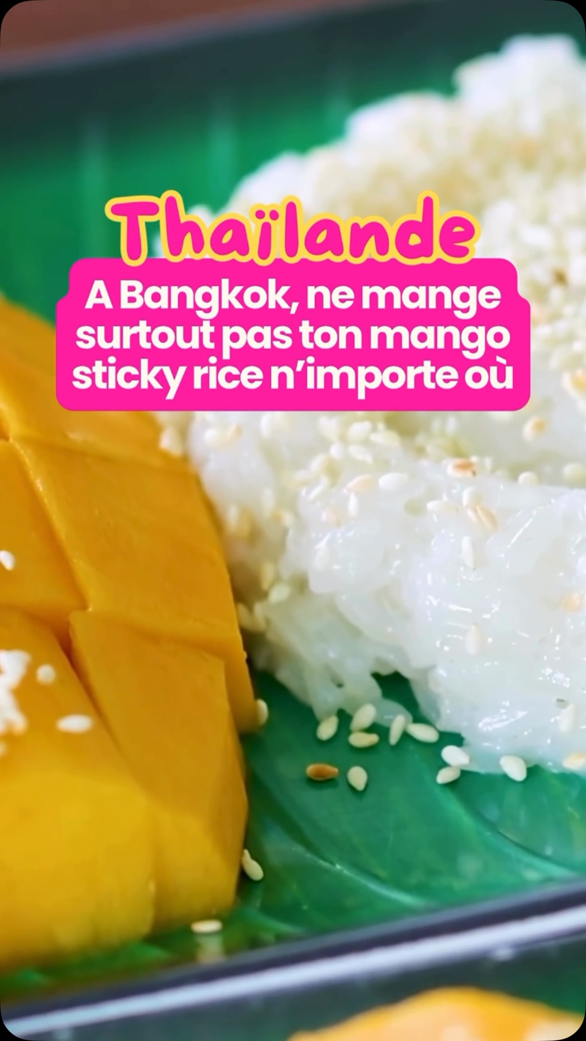 Bangkok's Top Mango Sticky Rice Destinations