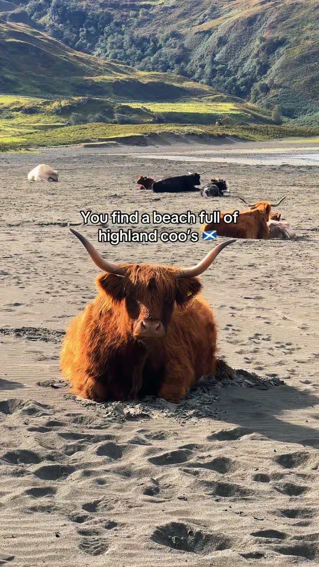 Isle of Mull and Laggan Sands