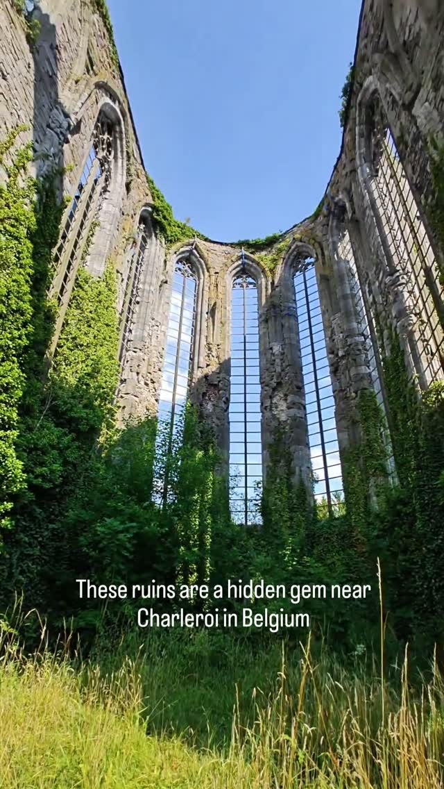 Aulne Abbey Ruins In Belgium