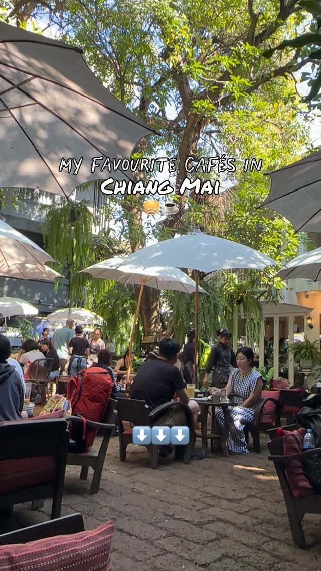 Chiang Mai's Beloved Cafes