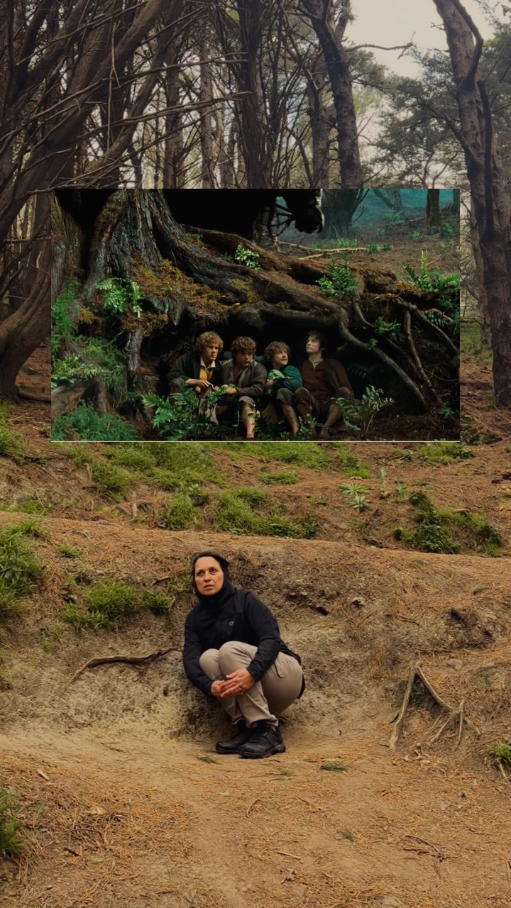 Lord of the Rings Filming Locations in Wellington