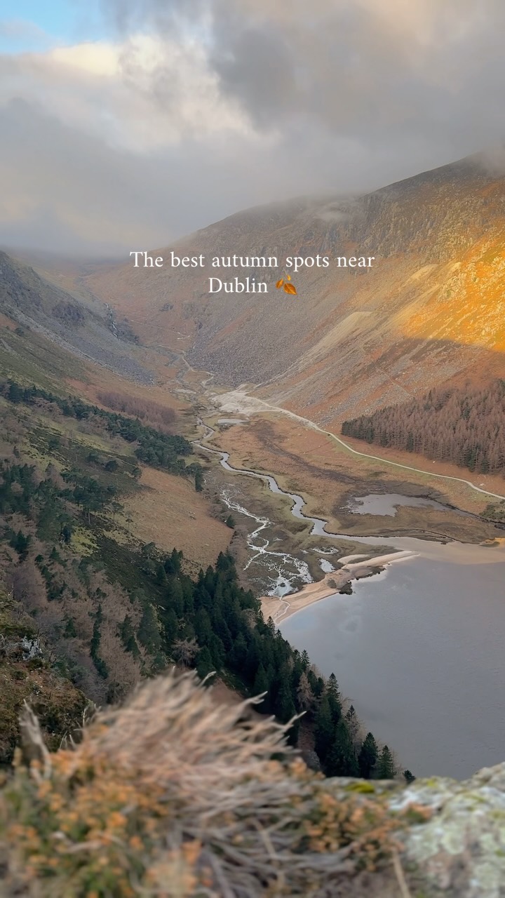 Wicklow's Autumnal Natural Wonders Near Dublin