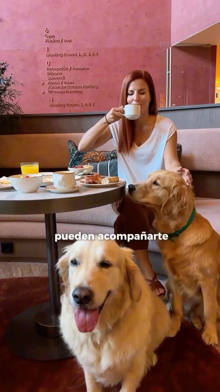 Bilbao's Pet-Friendly Hotels, Parks, and Transit
