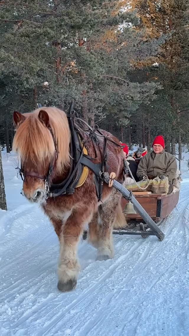 Winter Sleigh Rides in Swedish Mountain Villages