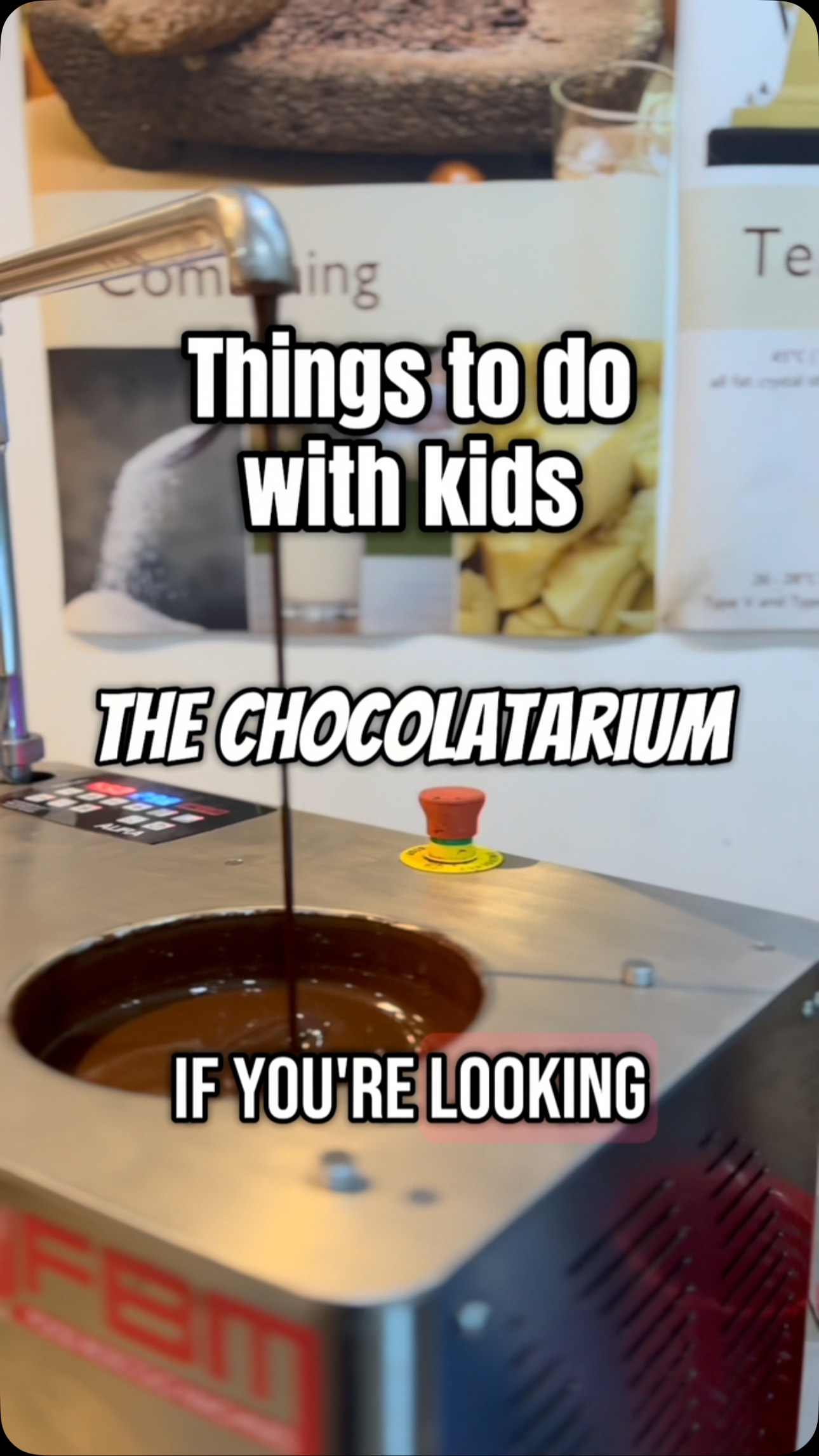 Chocolate Making and Tasting Experiences