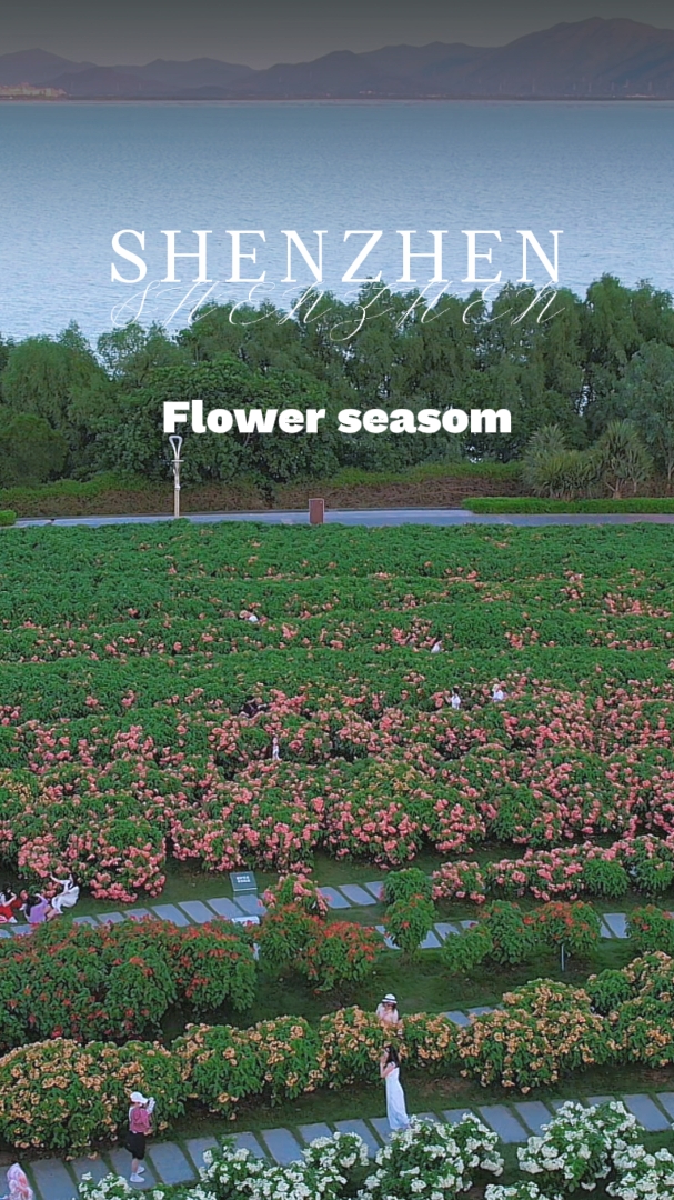 Shenzhen Parks Showcase Colorful Blooms