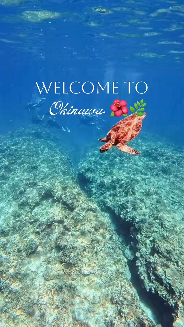 Okinawa: Japan's Underrated Tropical Paradise