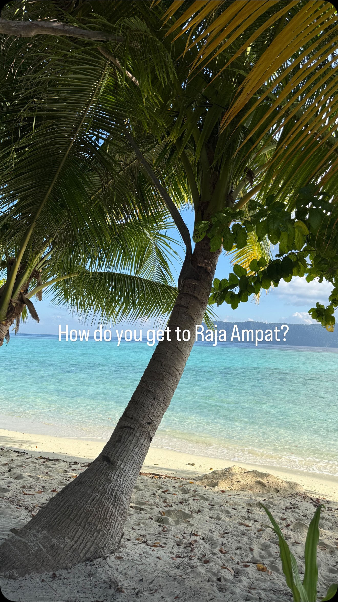 Journey To Raja Ampat: Airport And Port Travel