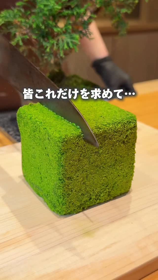 Luxury Matcha Cafe Features Curated Japanese Sweets