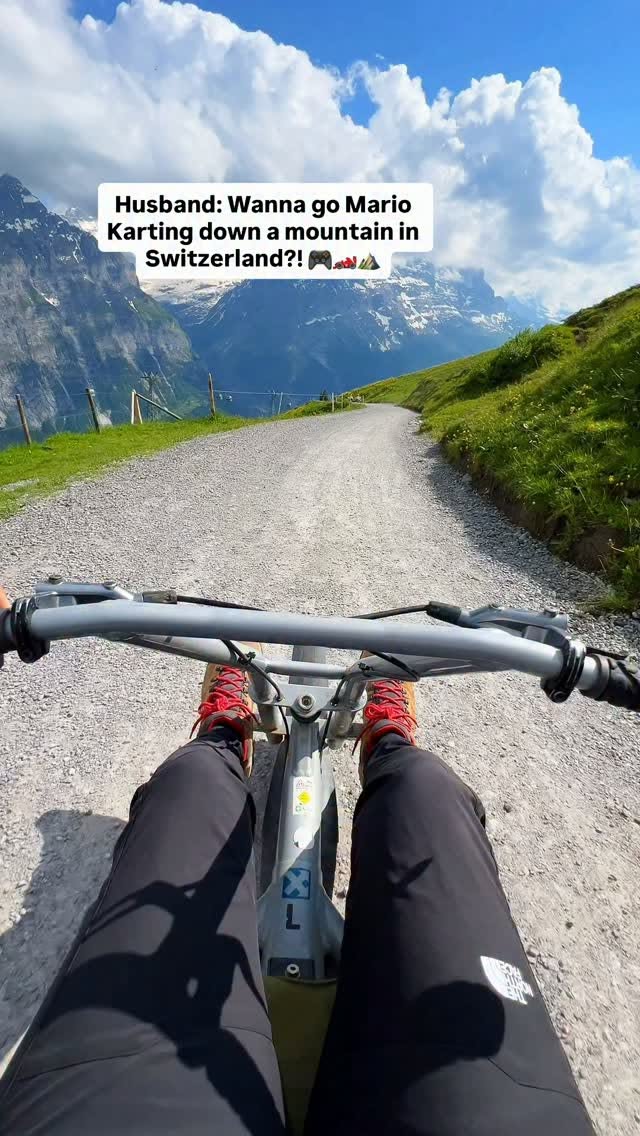 Mountain Carting Amidst Swiss Alps Views