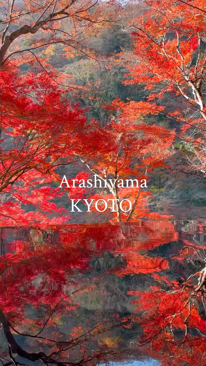 Arashiyama's Autumn Colors Expected To Bloom Late