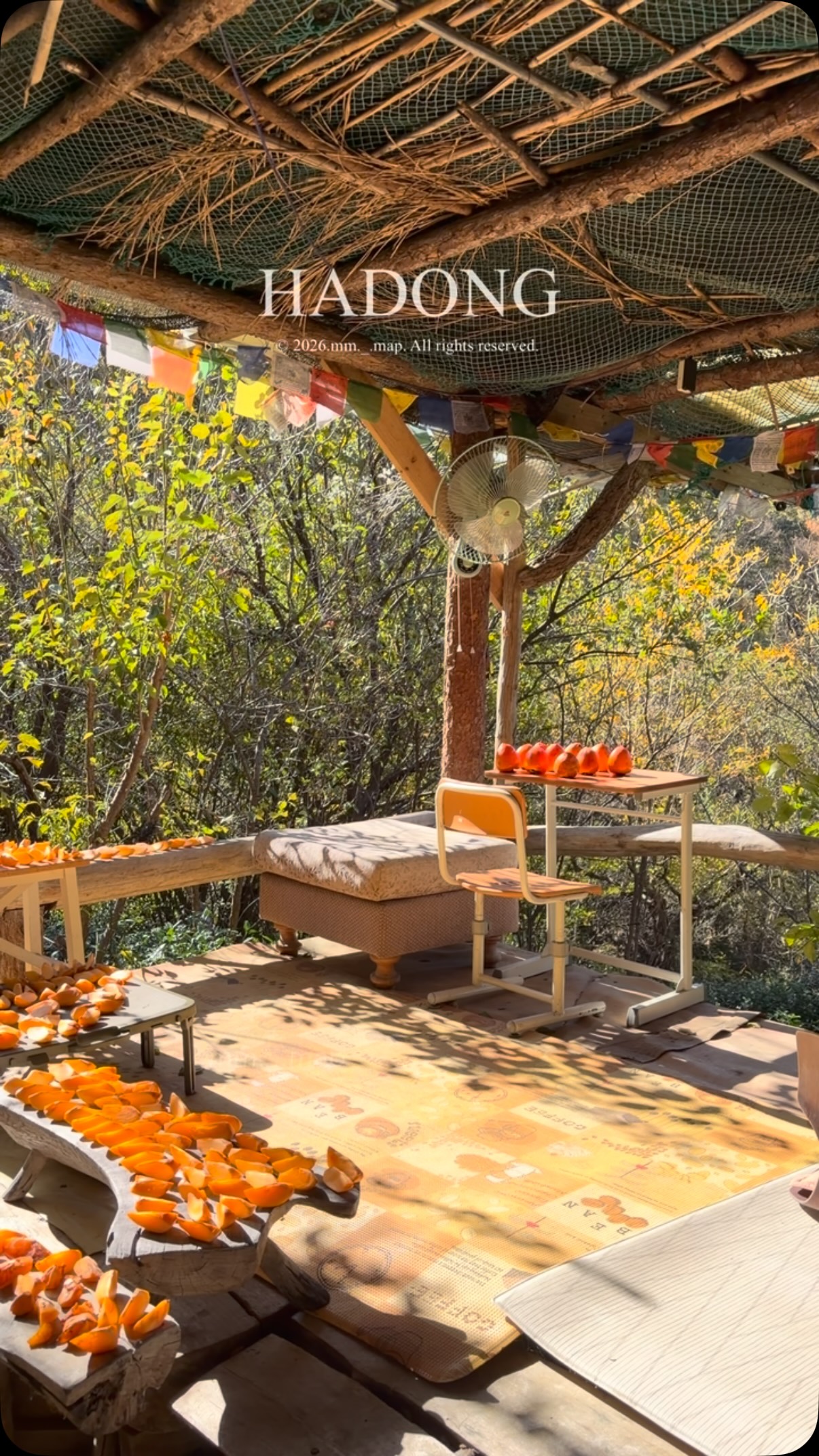 Jirisan Mountain's Tranquil Tea Field Retreat