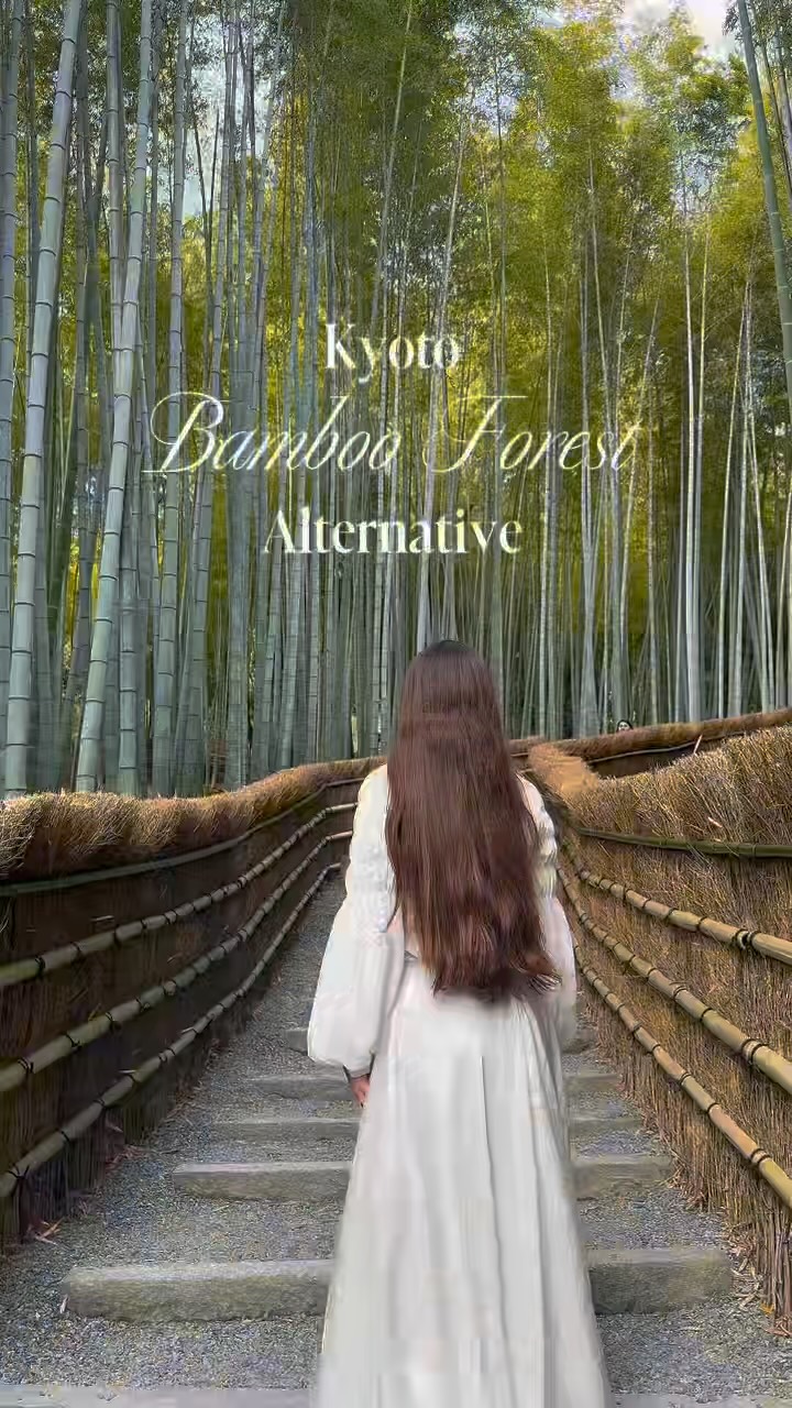 Kyoto Temples Offer Serene Bamboo Groves and Statues