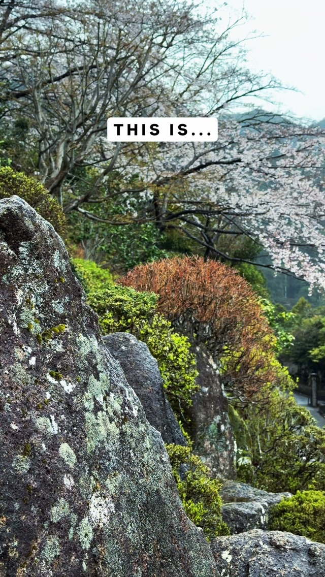 Sacred Waterfalls, Shrines, and Pagoda Views