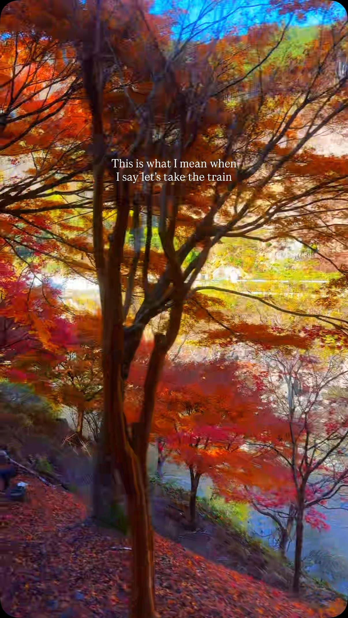 Kyoto Autumn Foliage Via Scenic Train and River