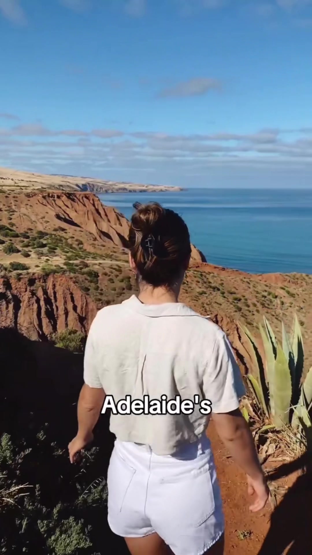 South Australian Coastal Road Trip Highlights