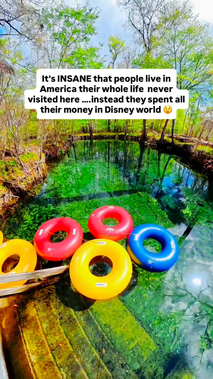 Florida Springs Offer Crystal-Clear Waters For Outdoor Fun
