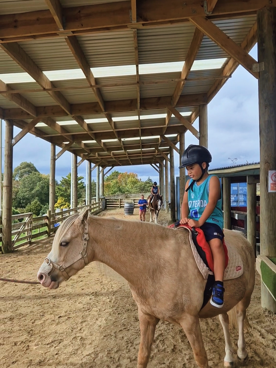 Auckland Animal Farms And Family Attractions